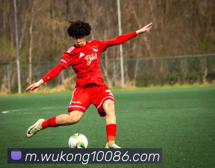 悟空体育平台生态图