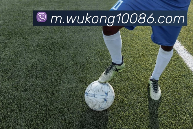 数据分析功能